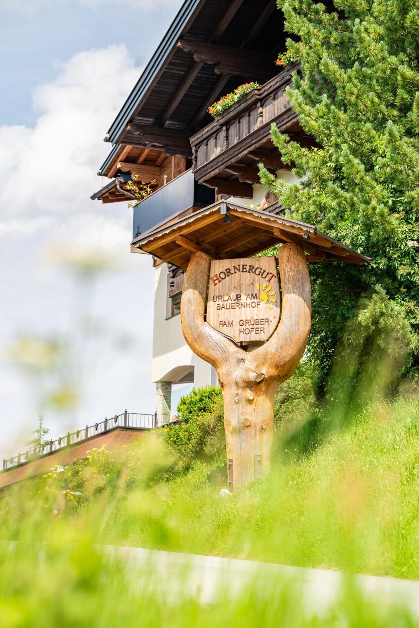 Apartmán Hornergut Altenmarkt im Pongau Exteriér fotografie