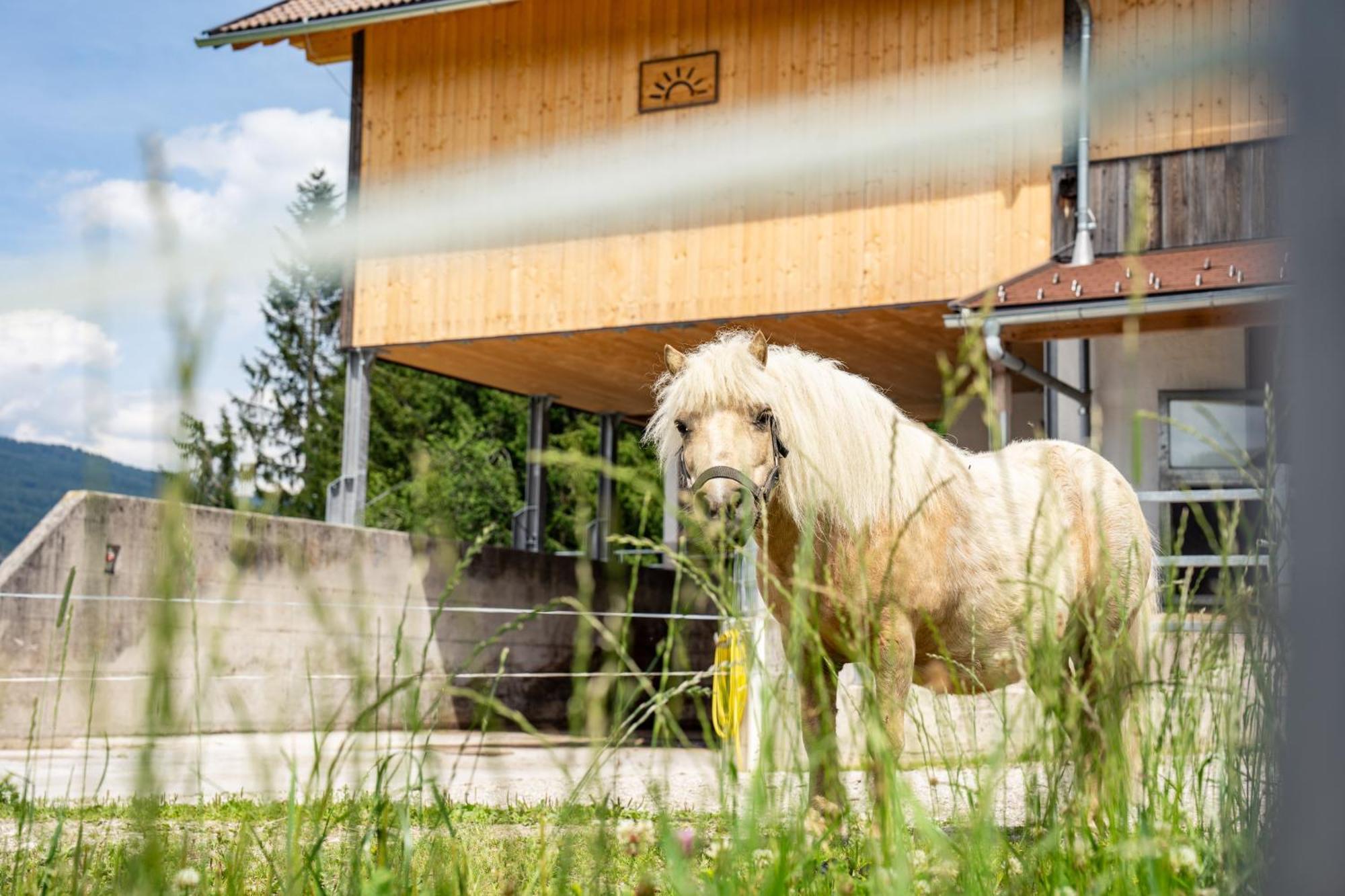 Apartmán Hornergut Altenmarkt im Pongau Exteriér fotografie
