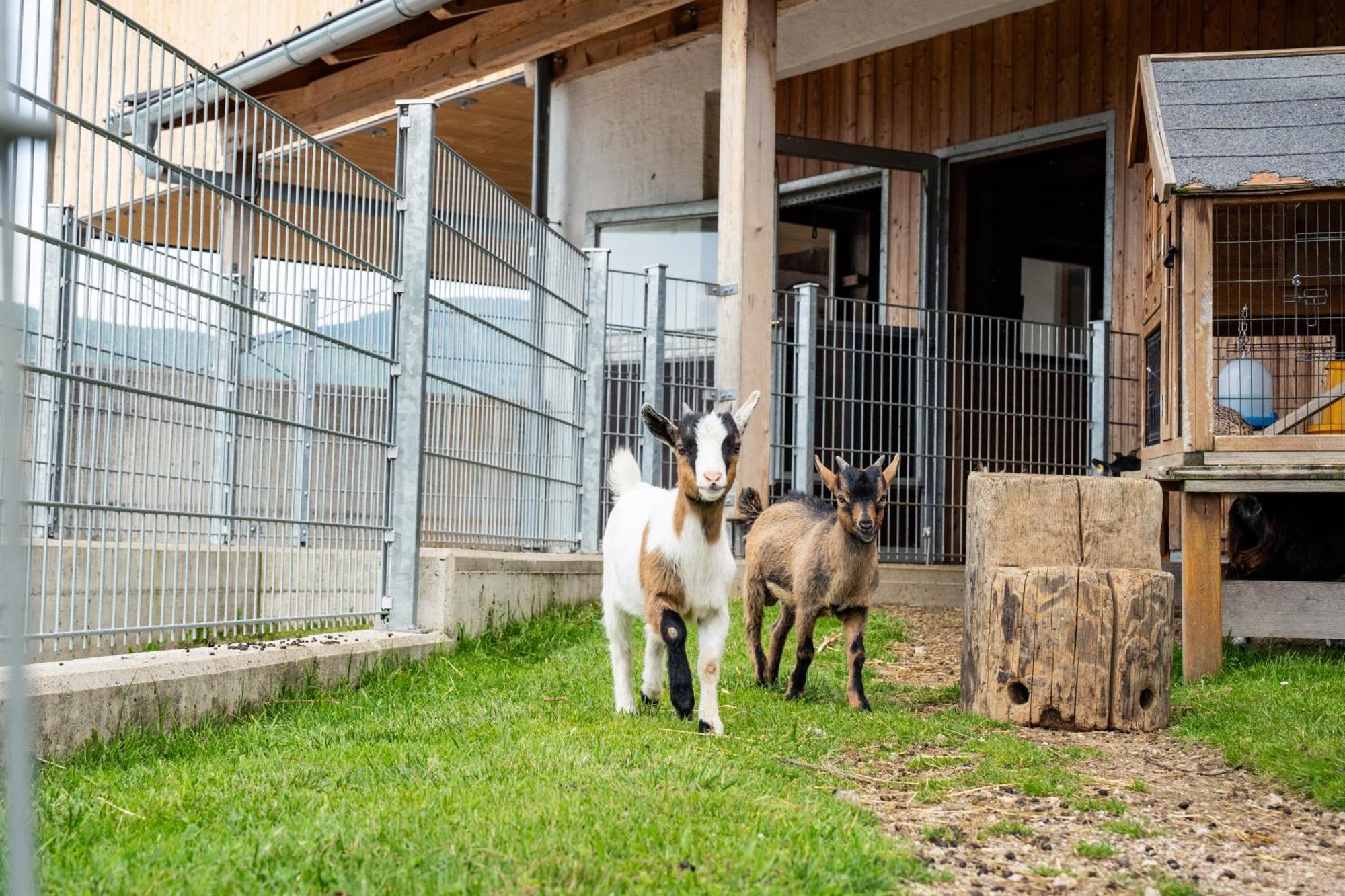 Apartmán Hornergut Altenmarkt im Pongau Exteriér fotografie