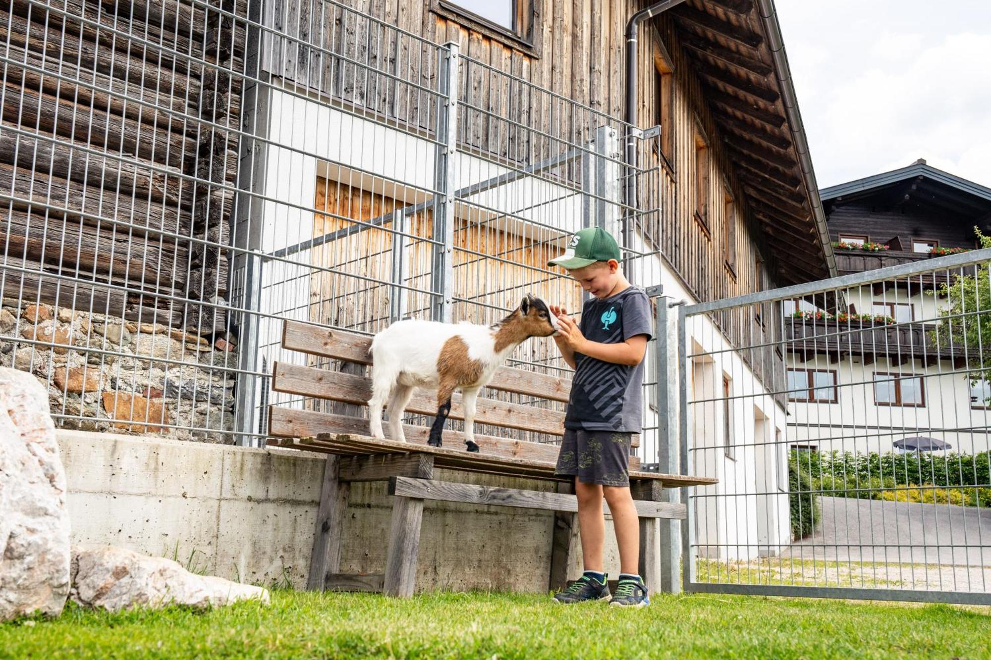 Apartmán Hornergut Altenmarkt im Pongau Exteriér fotografie