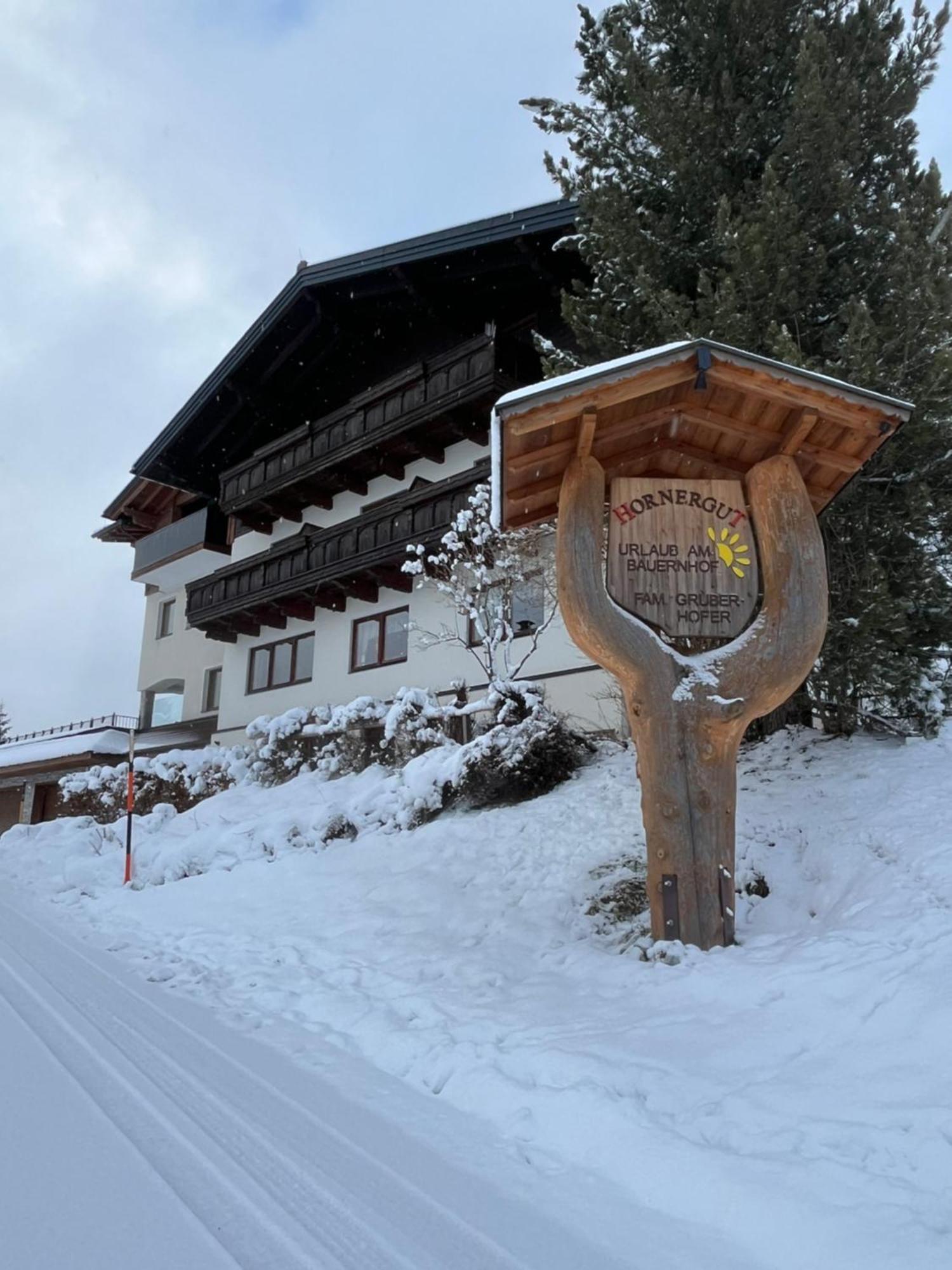 Apartmán Hornergut Altenmarkt im Pongau Exteriér fotografie